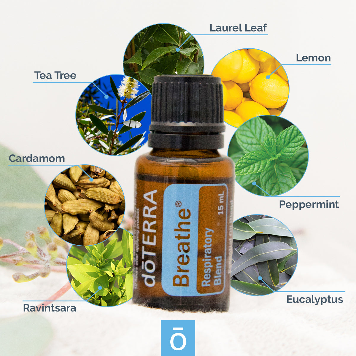 dōTERRA Breathe® Oil Respiratory Blend
