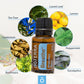 dōTERRA Breathe® Oil  Respiratory Blend