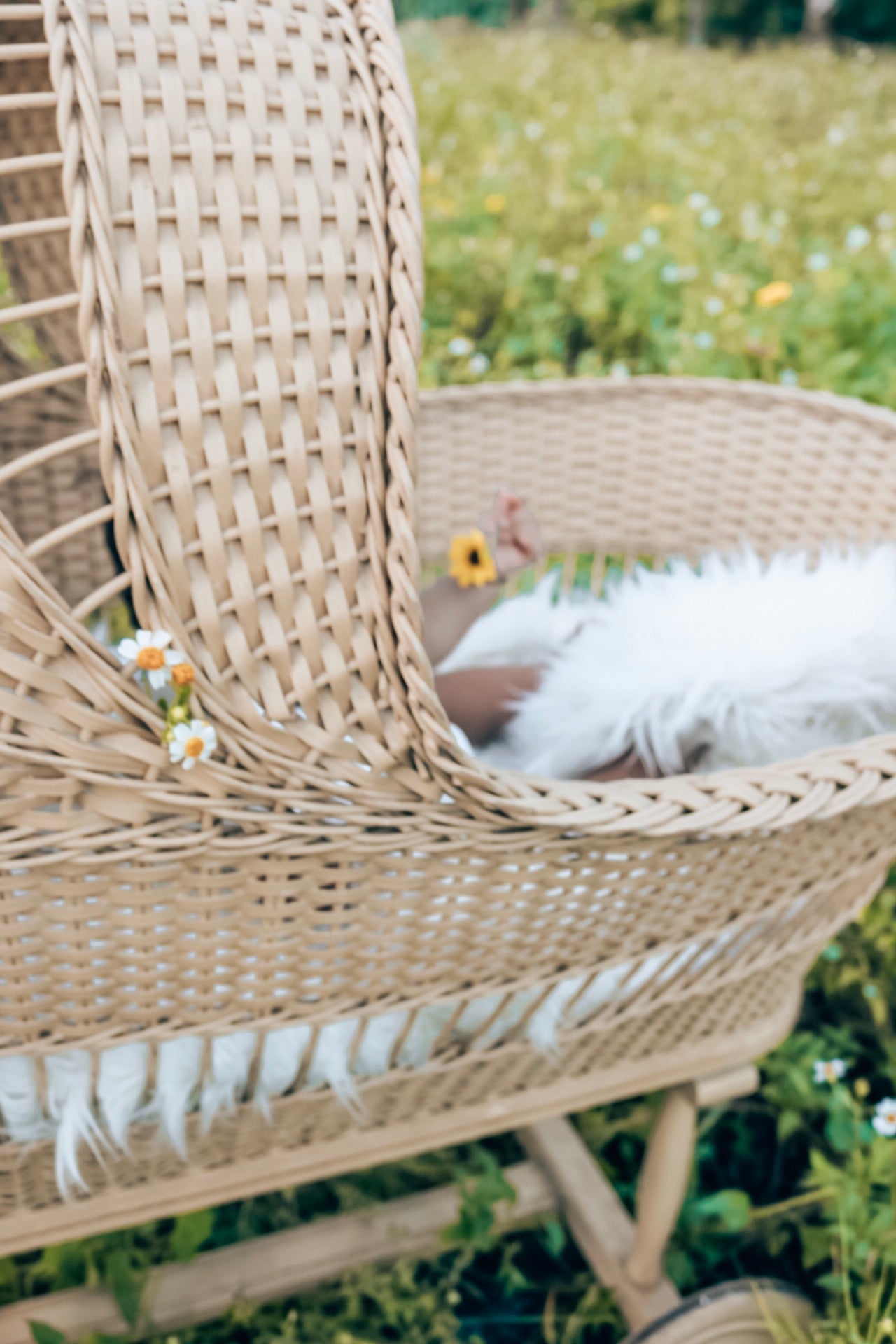 Mini Session Wicker Waterbabe™